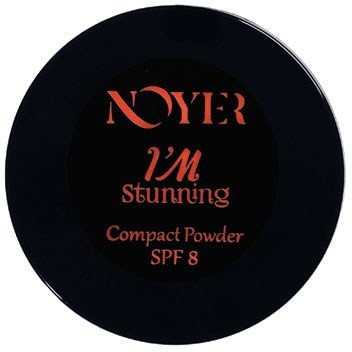 پنکیک نویر NOYER