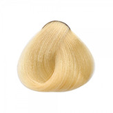 رنگمو آرکیا